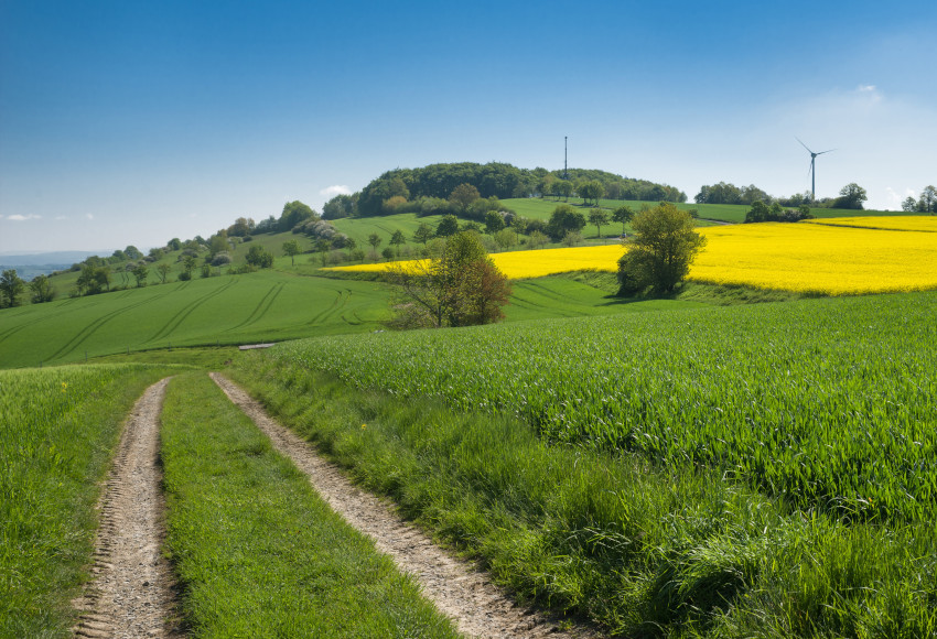 Artenvielfalt und Landschaftsqualität - Teilindikator Agrarlandschaft, © Adobe Stock_C.-J. Bautsch