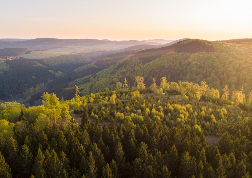 Artenvielfalt und Landschaftsqualität - Teilindikator Wald, © Adobe Stock_J. Wüstehube